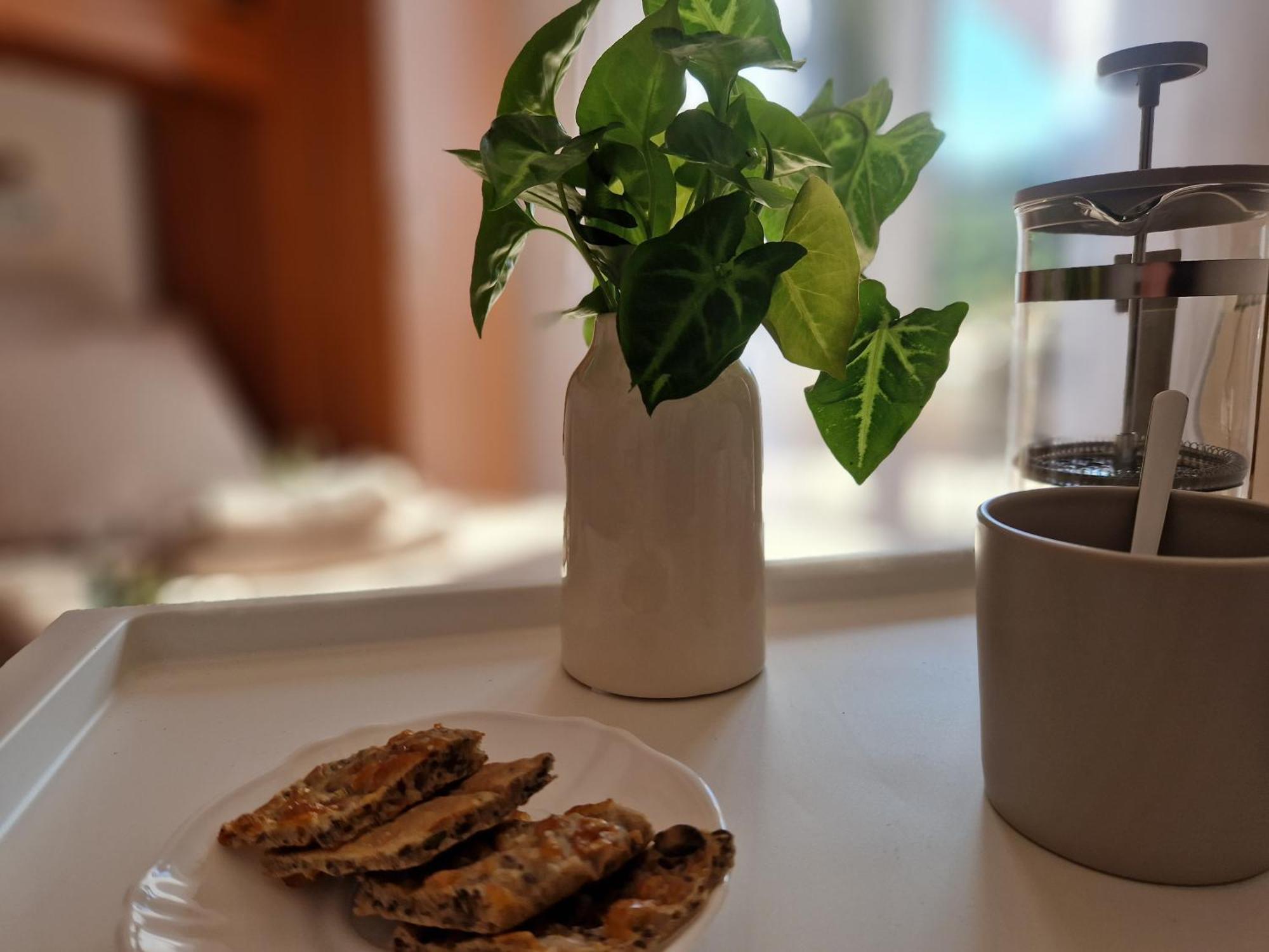 House Olive Garden Strunjan Lägenhet Exteriör bild